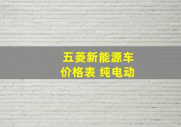 五菱新能源车价格表 纯电动